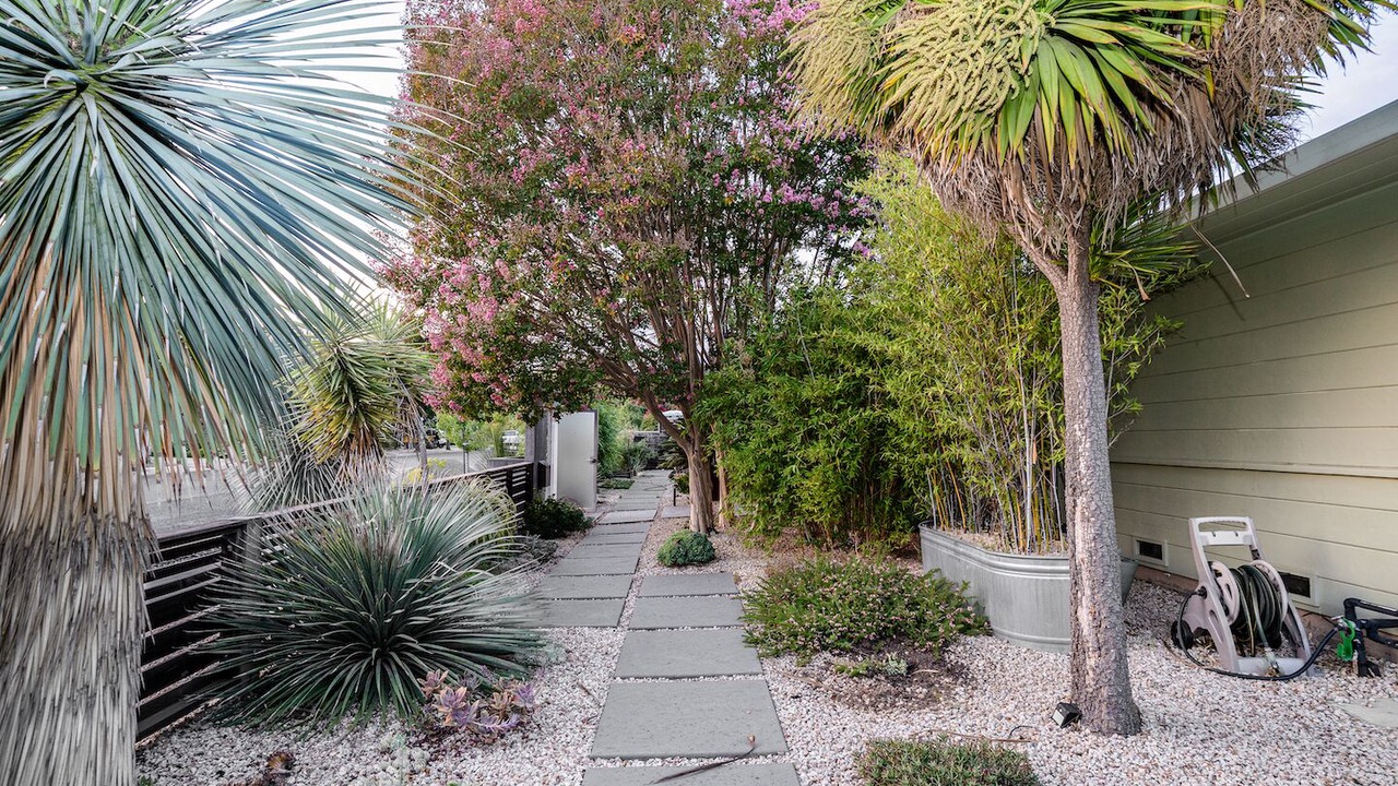Photo of Outdoor in Napa