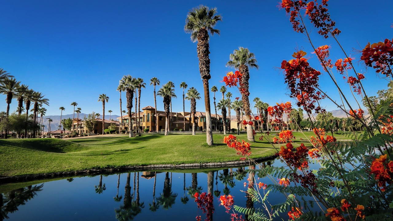 Photo of Others in Palm Desert