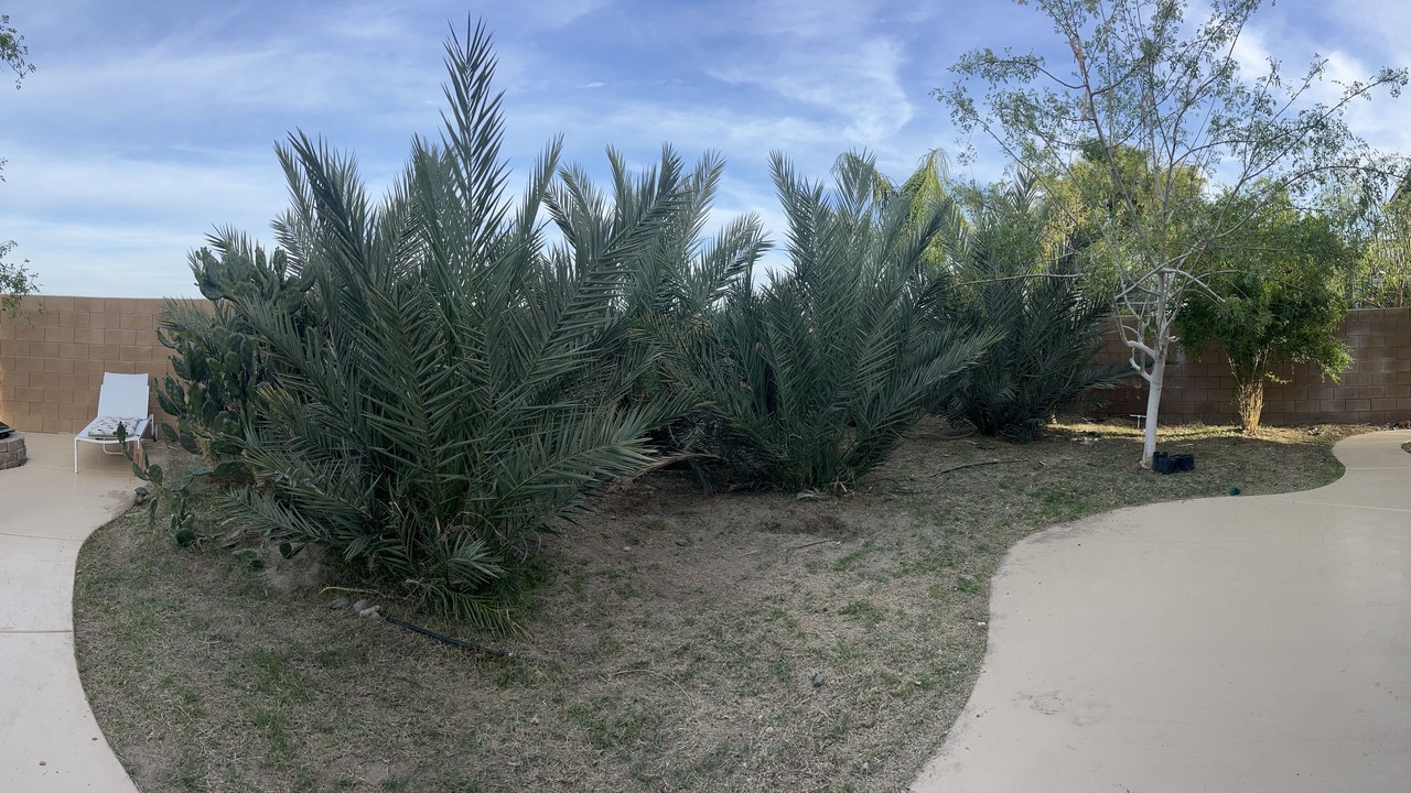 Photo of Outdoor in Anastacia
