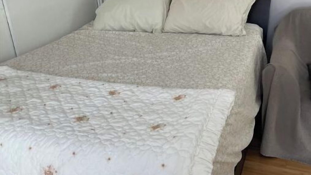 Photo of Bedroom in Mid City