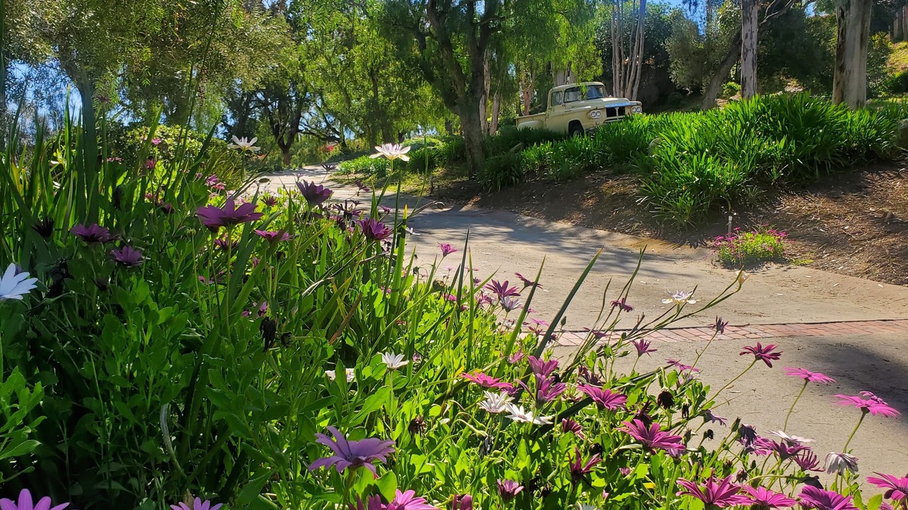 Photo of Outdoor in Fallbrook