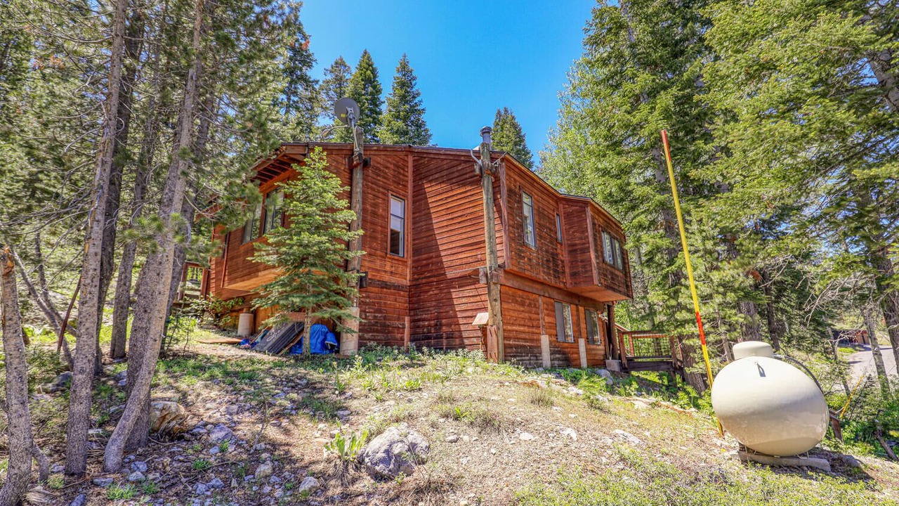 Photo of Outdoor in Alpine Meadows