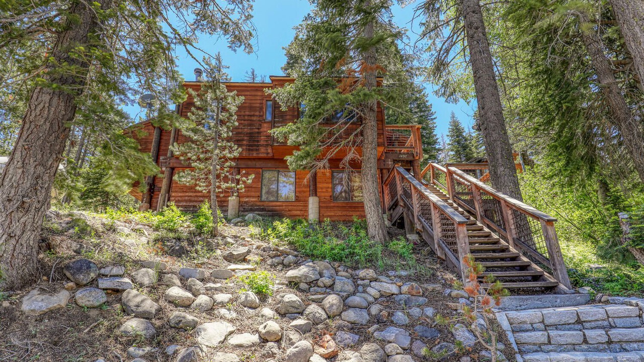 Photo of Outdoor in Alpine Meadows
