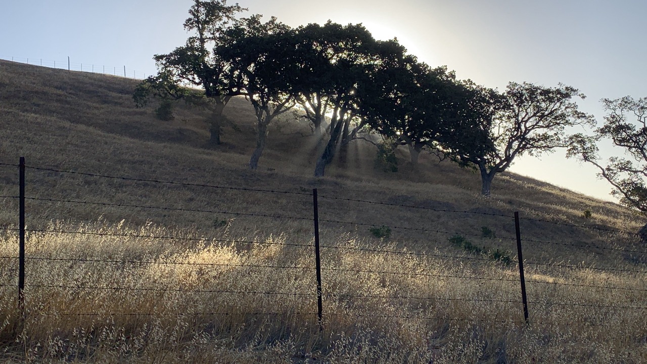 Photo of Others in Petaluma