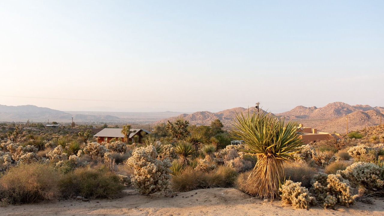 Photo of Others in Joshua Tree Highlands