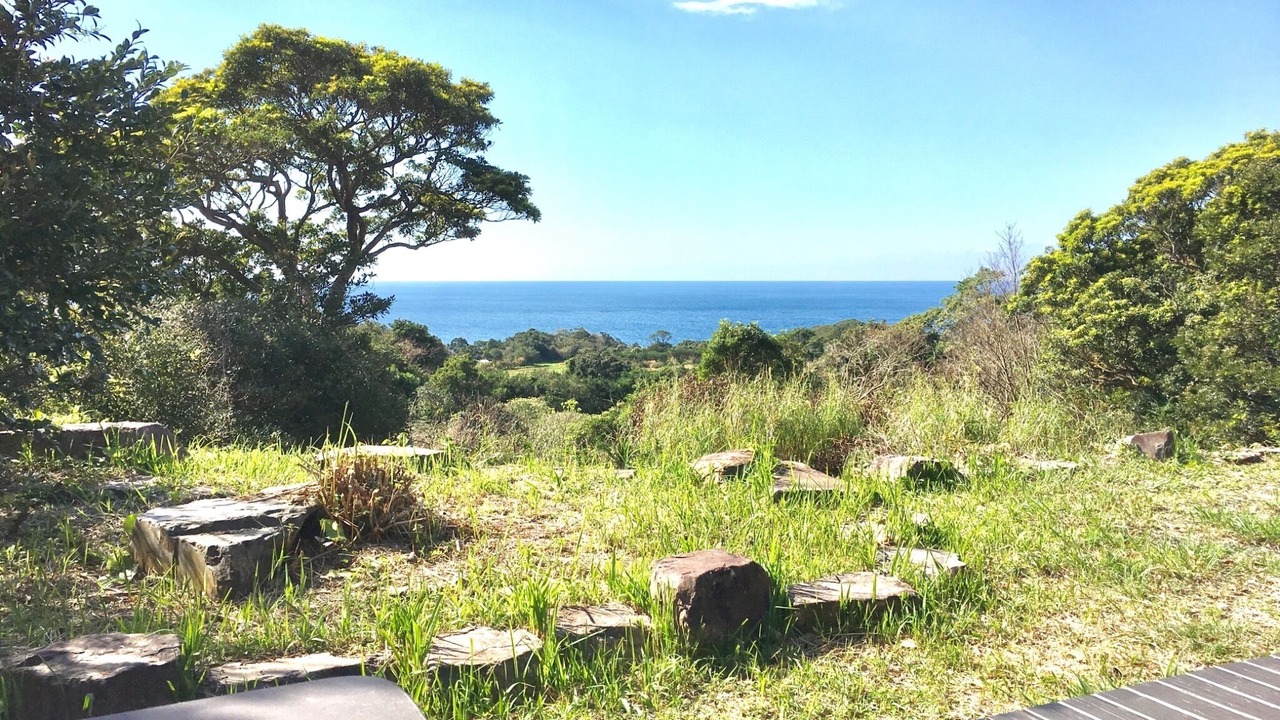 Photo of Outdoor in Yakushima
