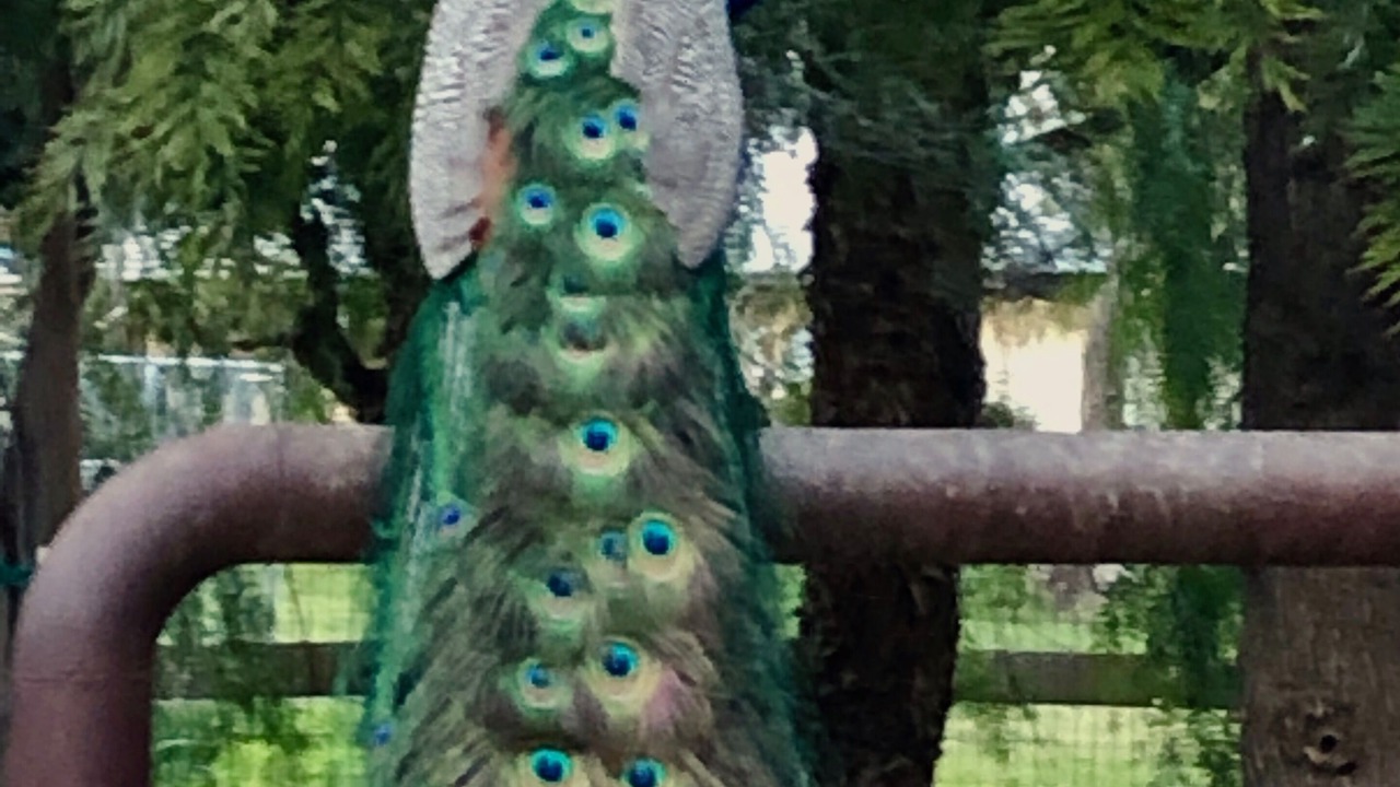 Photo of Outdoor in Temecula