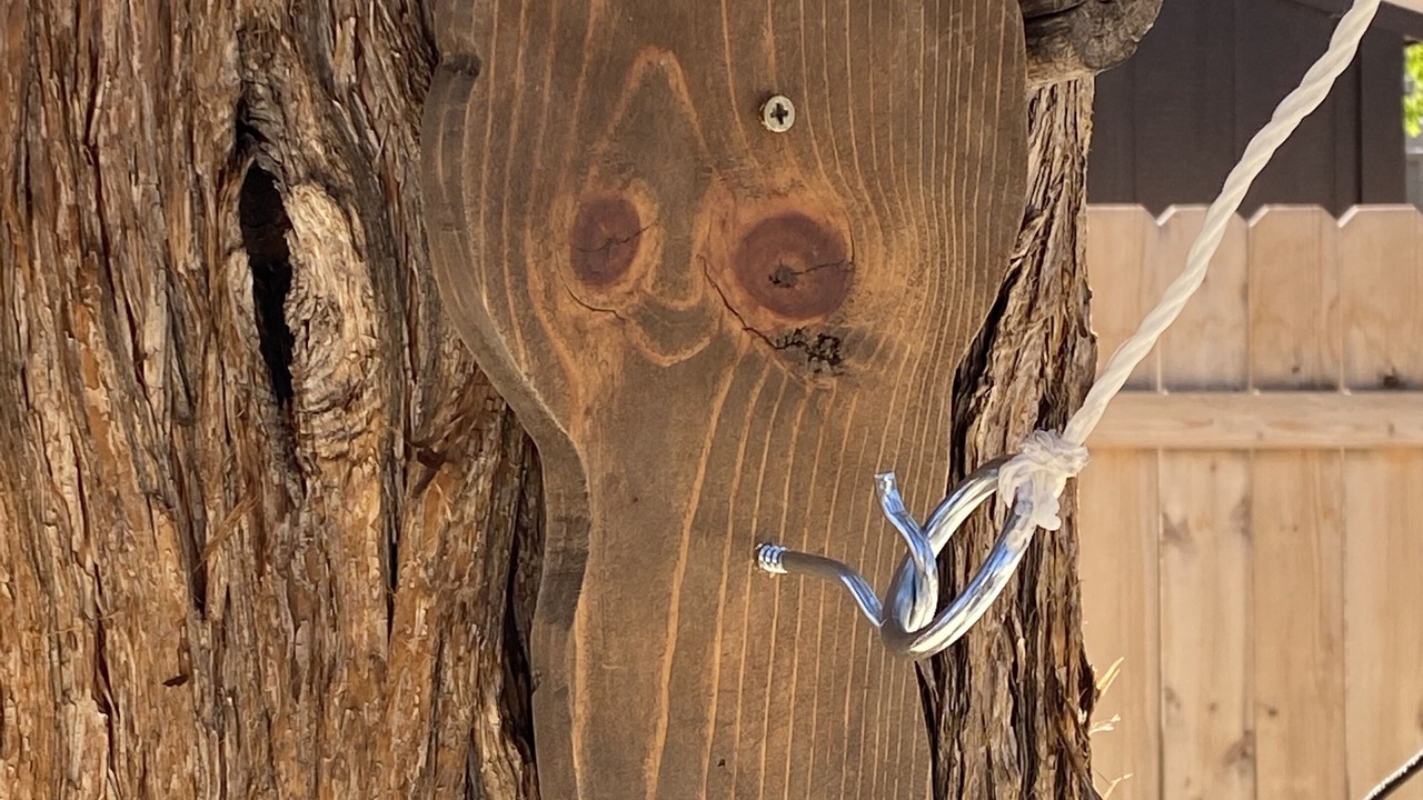 Photo of Outdoor in Big Bear City