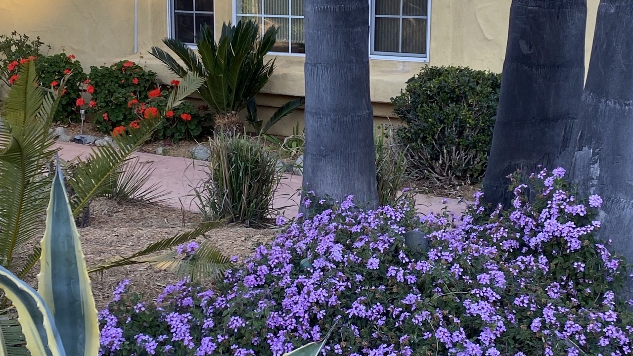 Photo of Outdoor in Fallbrook