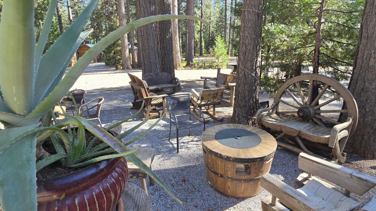 Photo of Outdoor in Shingletown