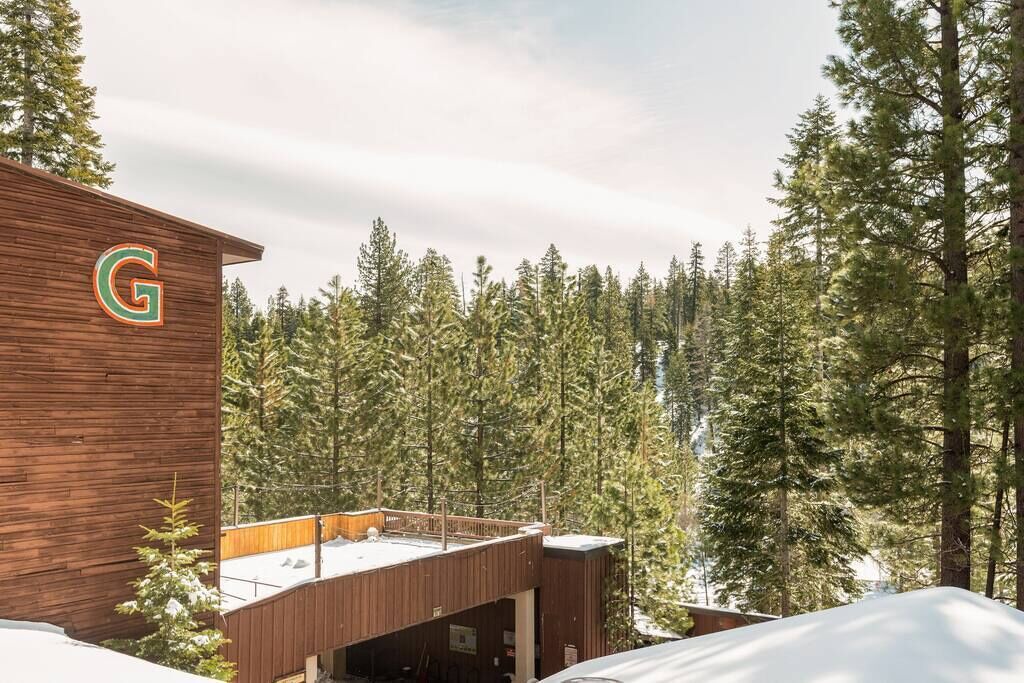 Photo of Others in Tahoe Woods