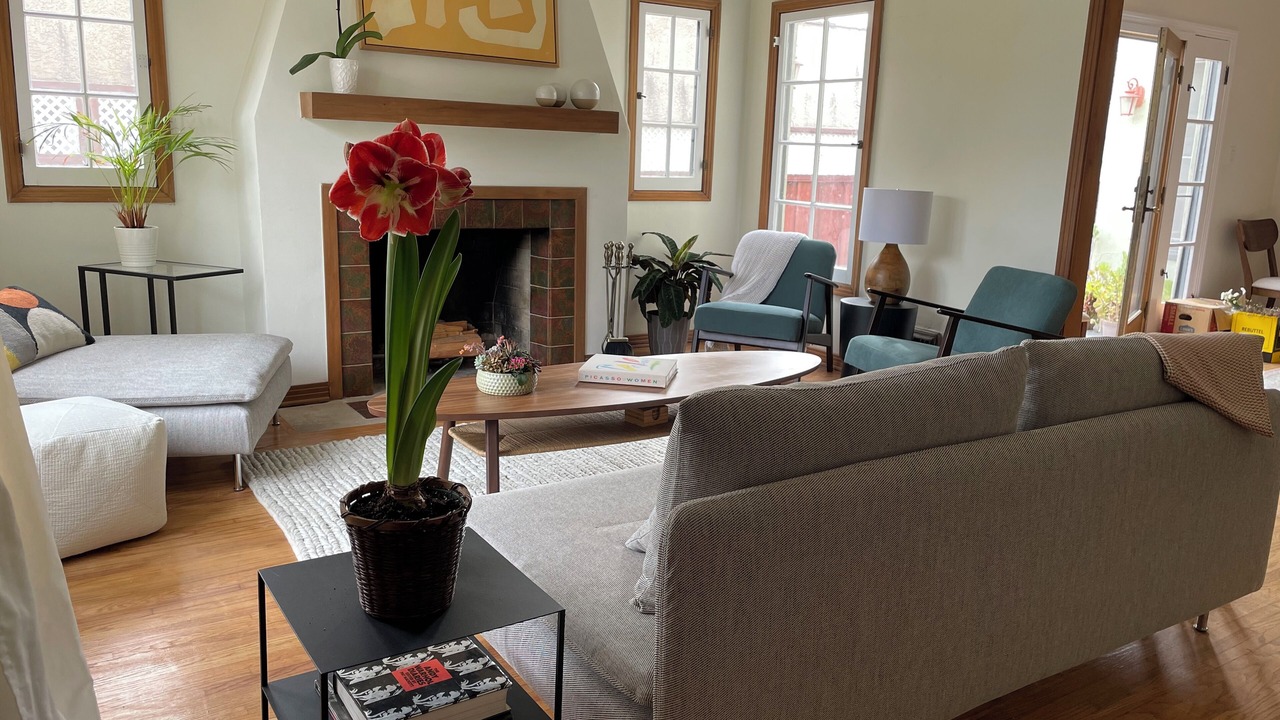 Photo of Livingroom in Mid City