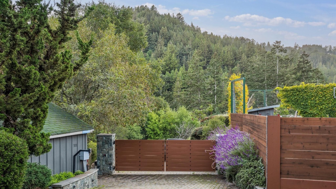 Photo of Outdoor in Mill Valley