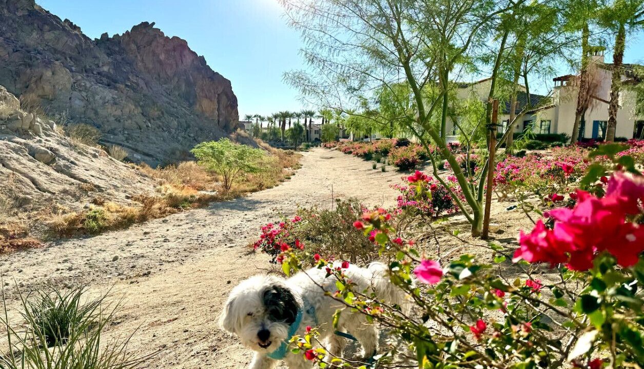 Photo of Others in La Quinta
