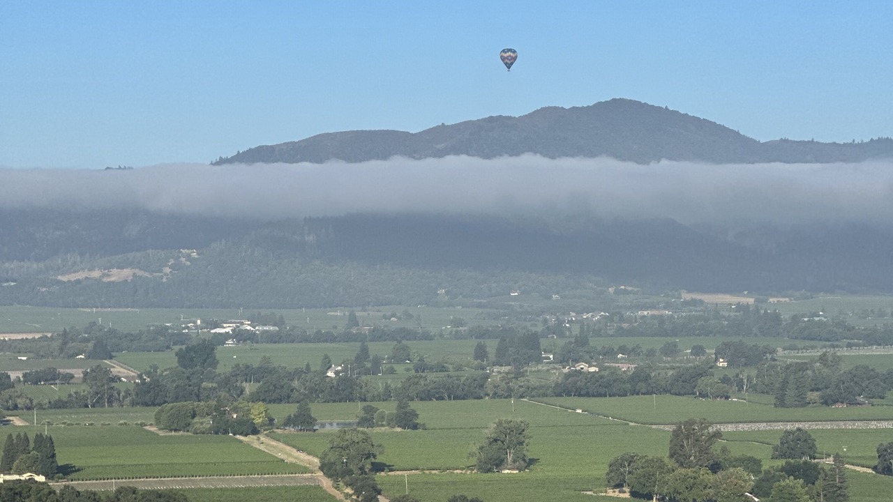 Photo of Others in Napa Valley
