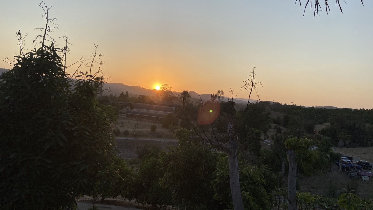 Photo of Others in Fallbrook