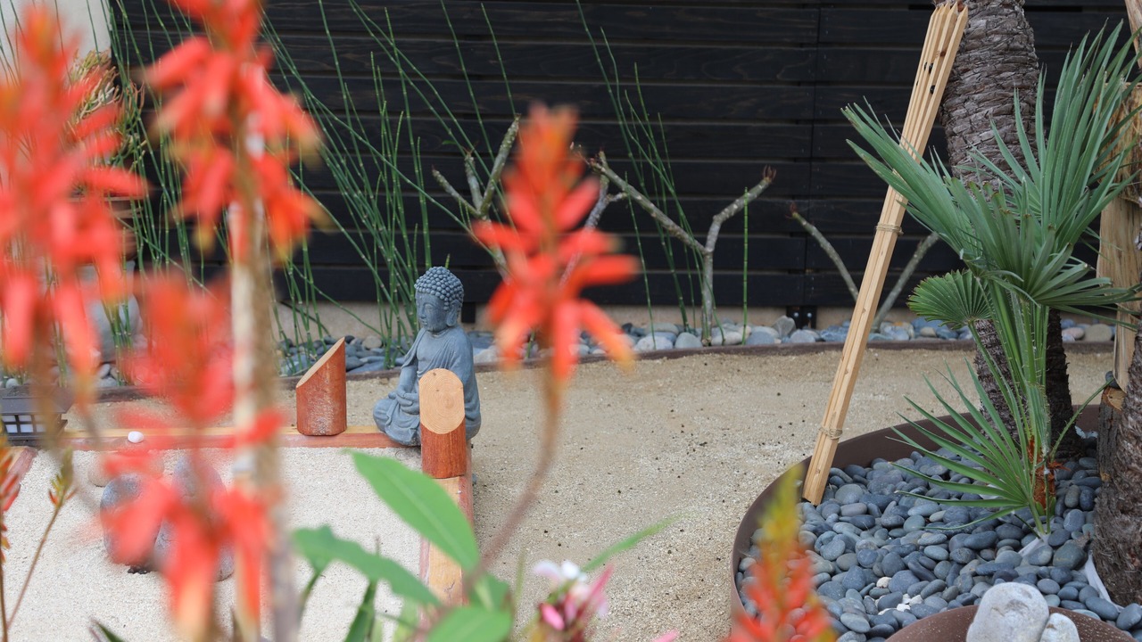 Photo of Outdoor in Fire Mountain