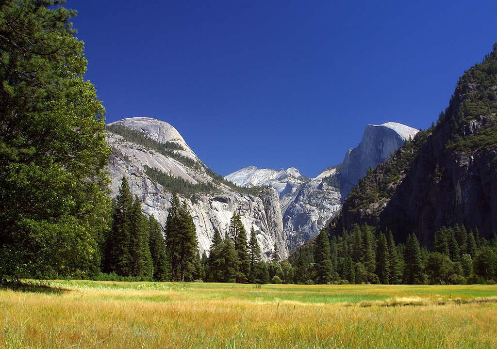 Photo of Others in Yosemite West