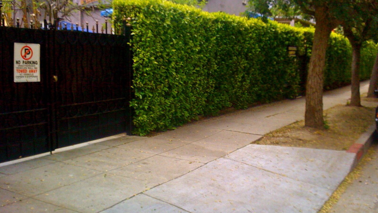 Photo of Others in Hollywood