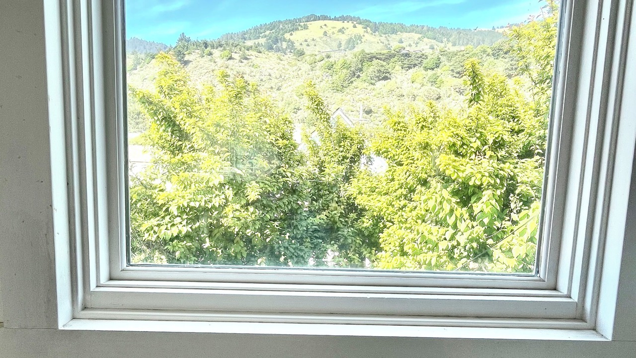 Photo of Others in Stinson Beach