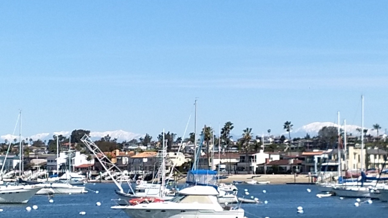 Photo of Others in West Newport