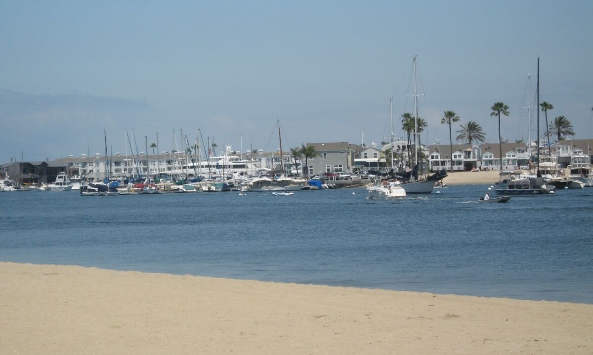 Photo of Others in West Newport