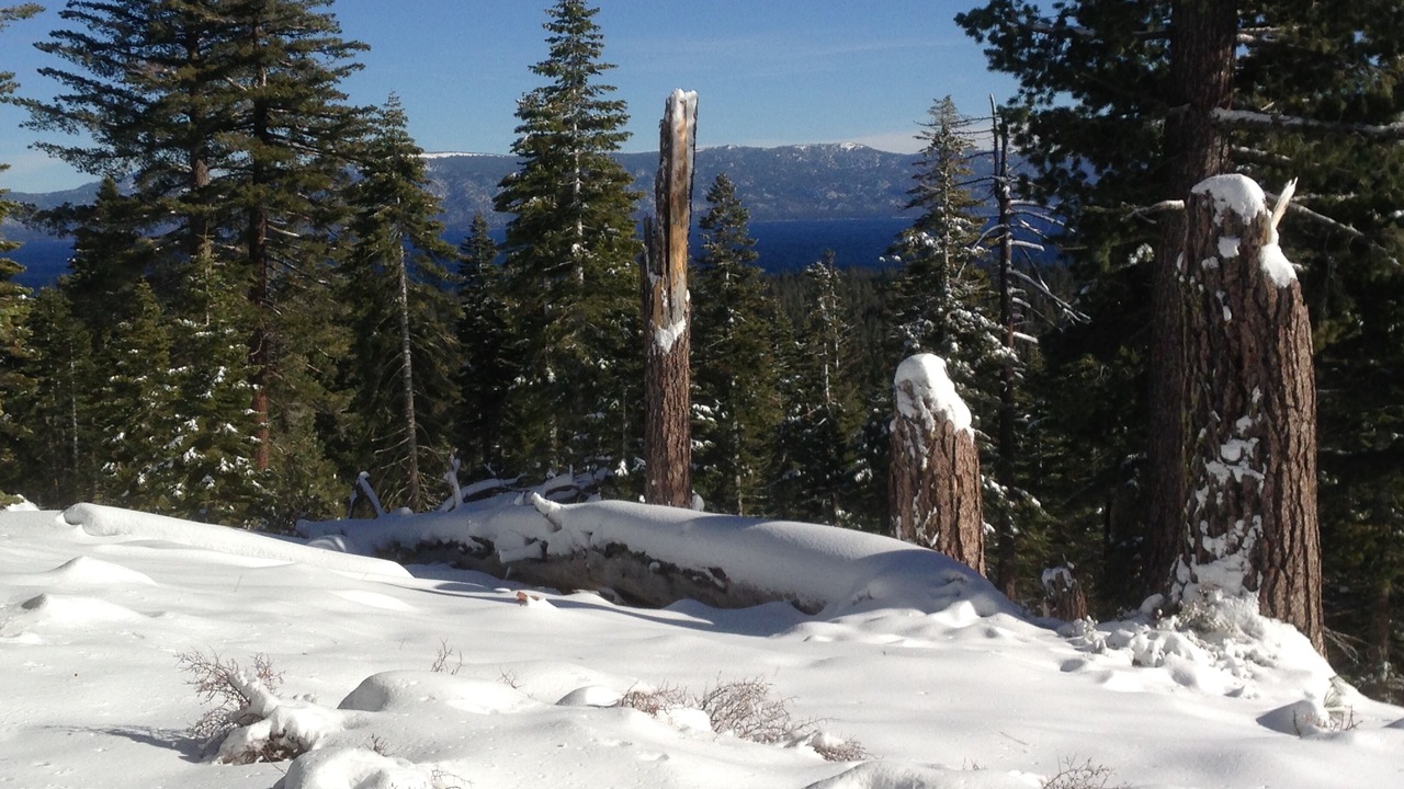 Photo of Others in Tahoma