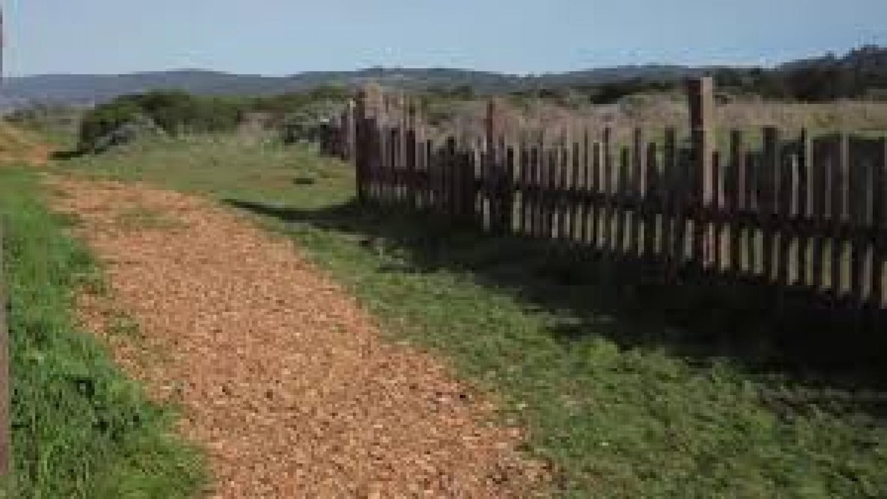 Photo of Outdoor in Sea Ranch