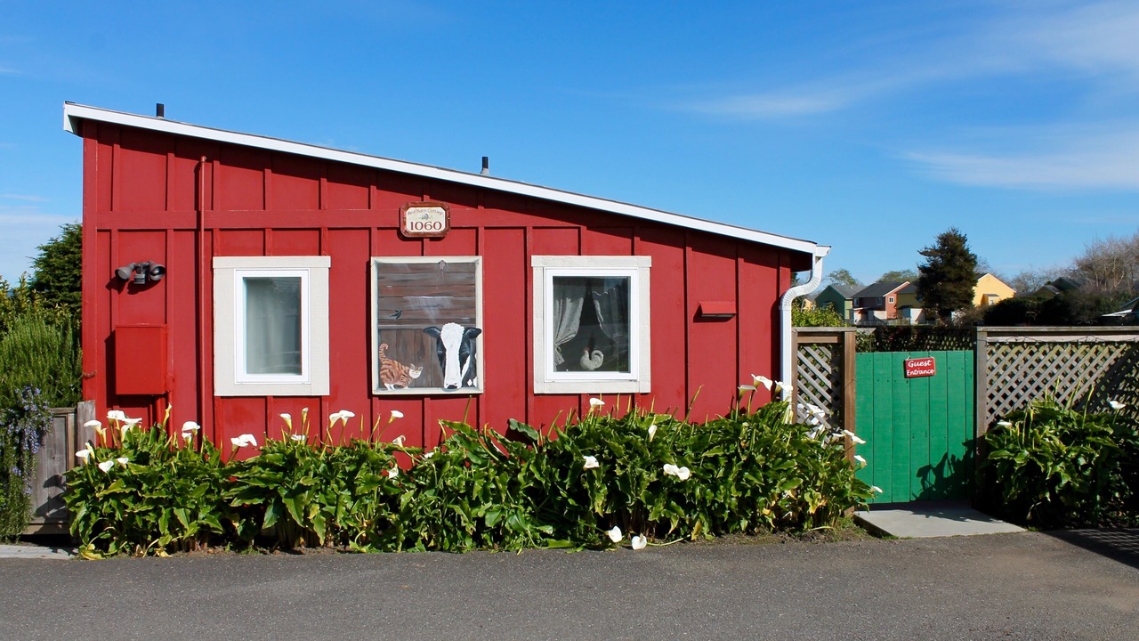 Photo of Outdoor in Ferndale