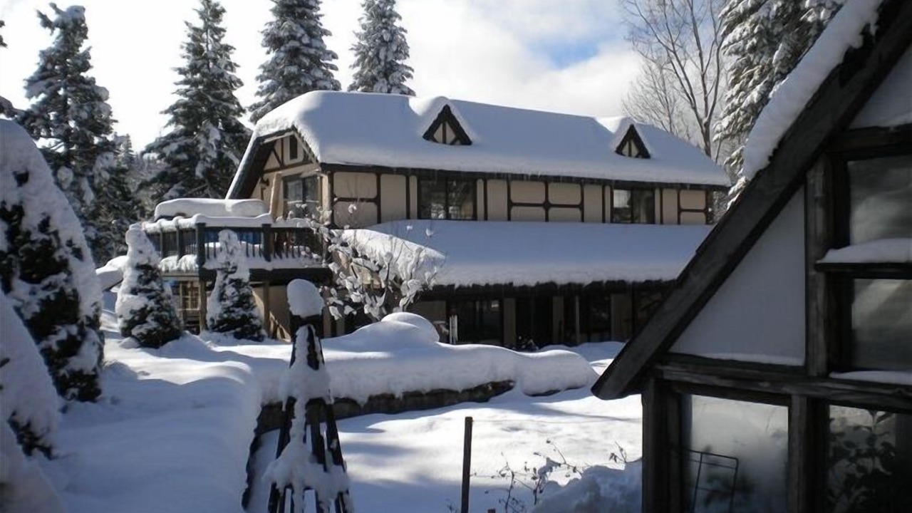 Photo of Others in Mount Shasta