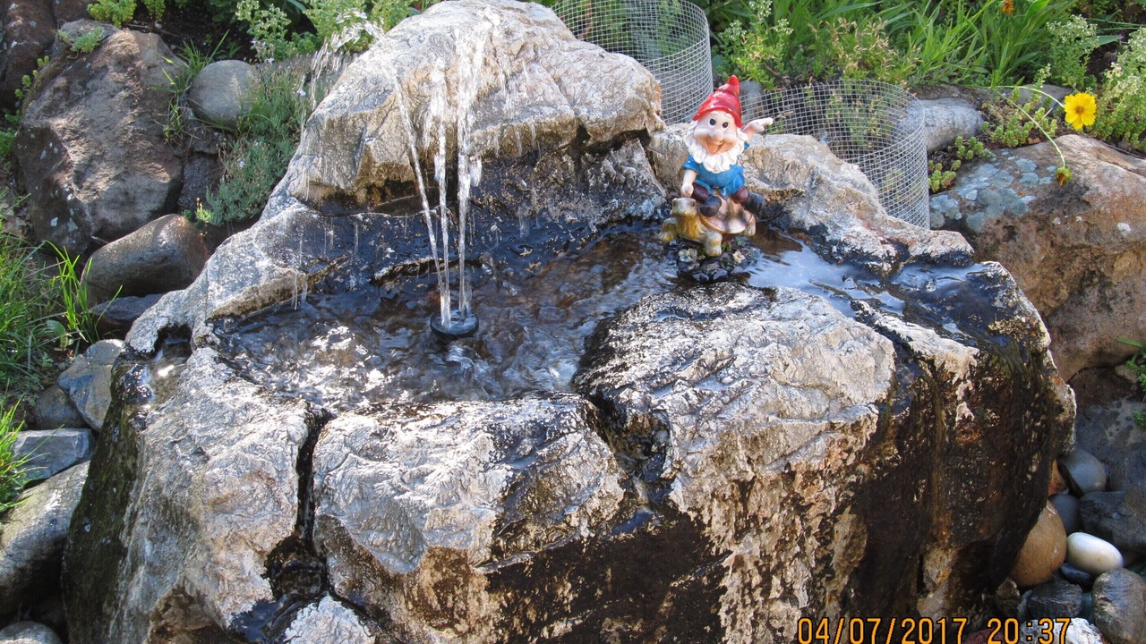 Photo of Outdoor in Mount Shasta