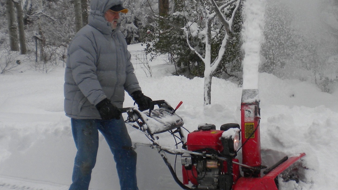 Photo of Others in Mount Shasta
