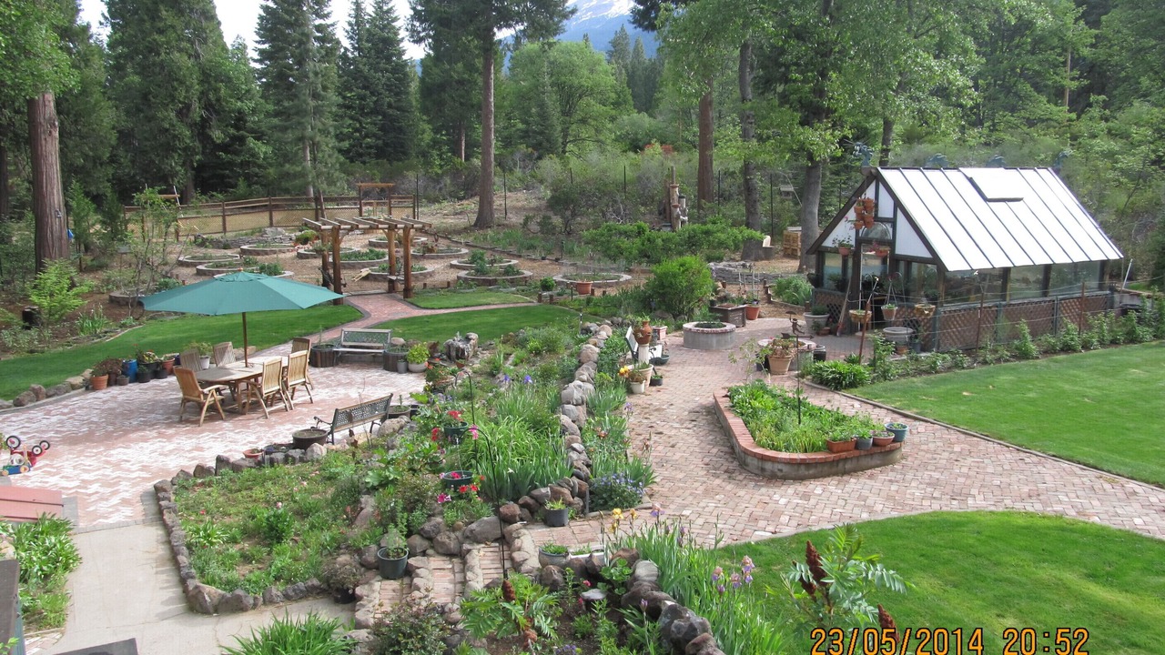 Photo of Others in Mount Shasta
