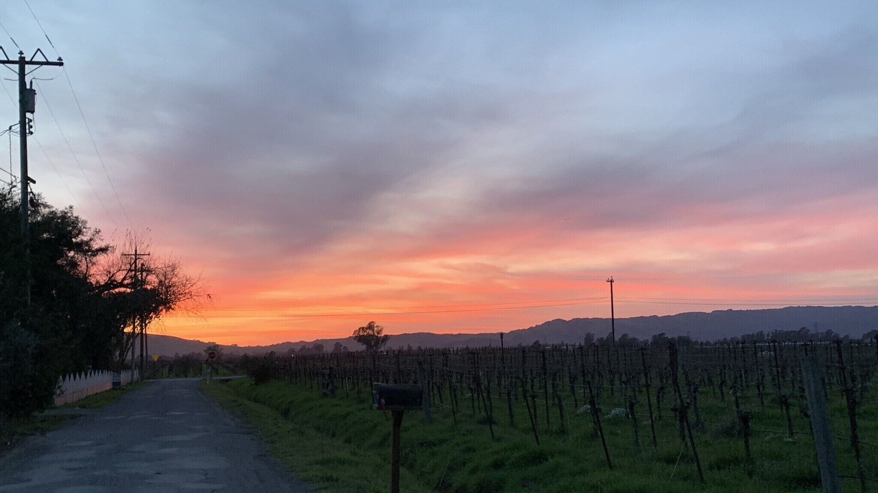 Photo of Others in Sonoma