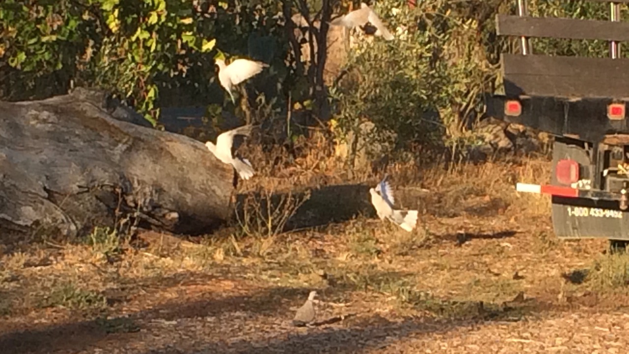 Photo of Others in Sonoma