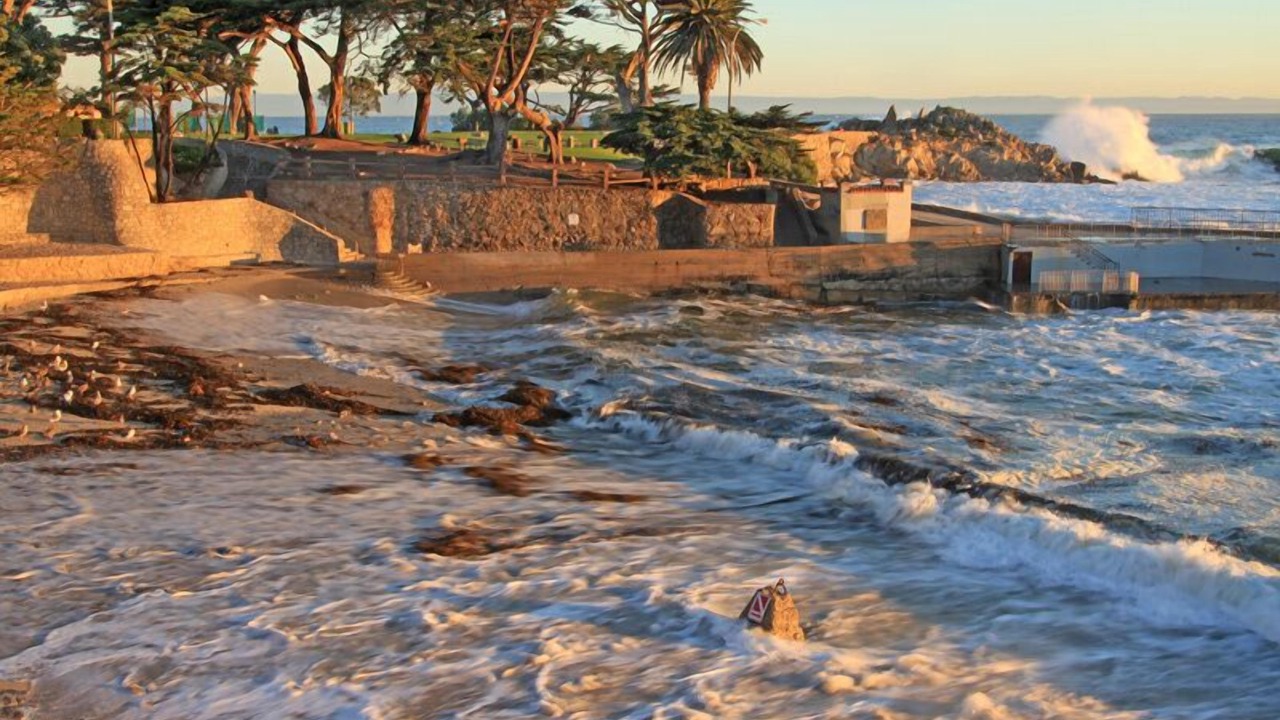 Photo of Others in Pacific Grove