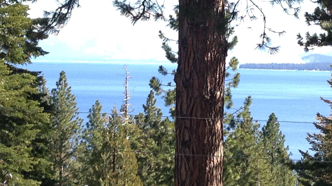 Photo of Outdoor in Tahoe Woods
