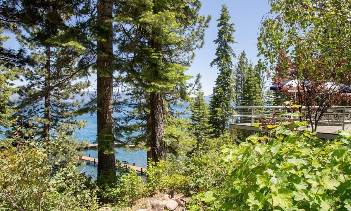 Photo of Others in Tahoe City