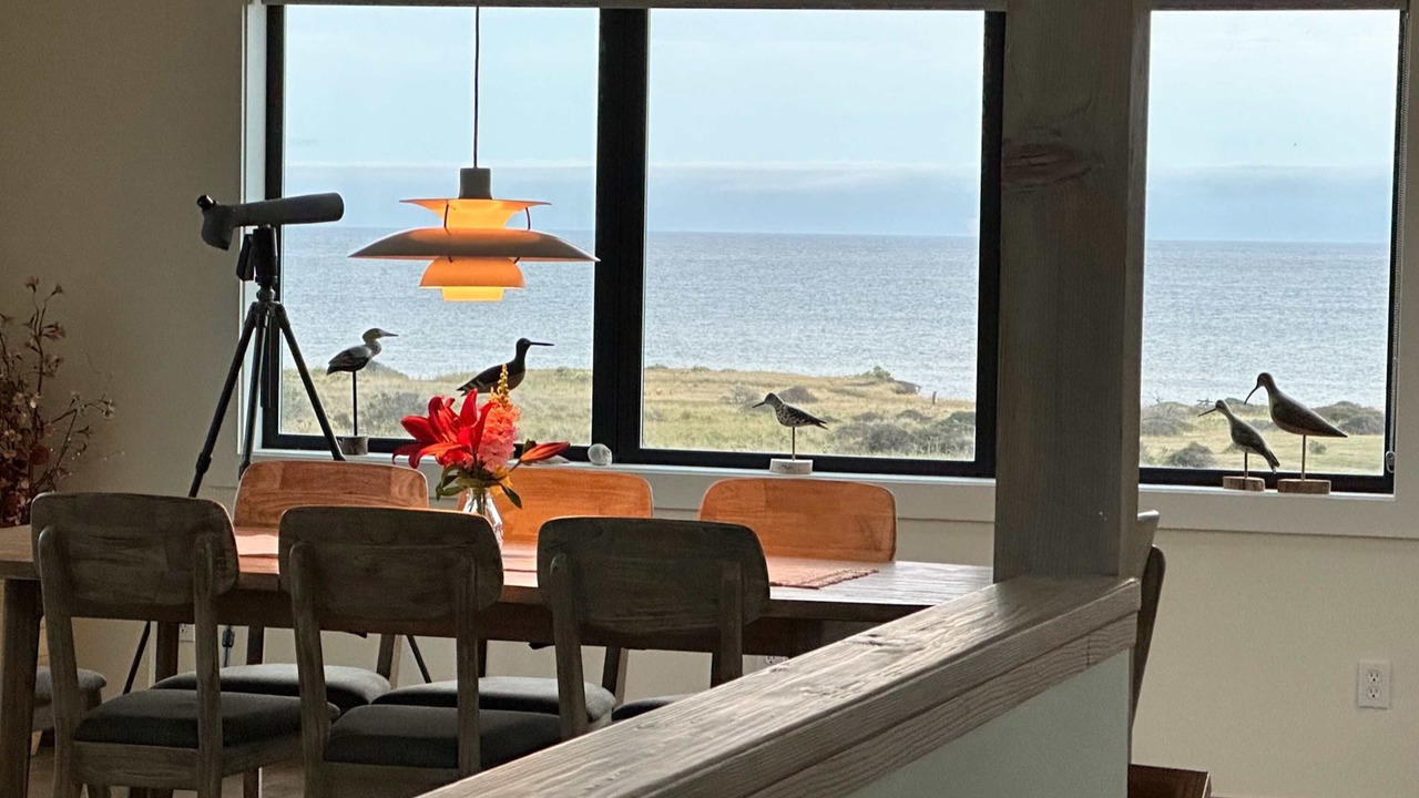 Photo of Others in Sea Ranch