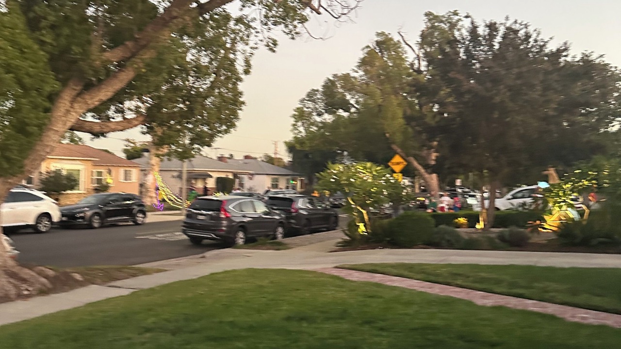 Photo of Others in Magnolia Park