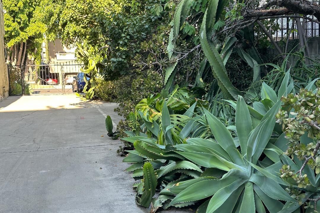Photo of Outdoor in Hollywood