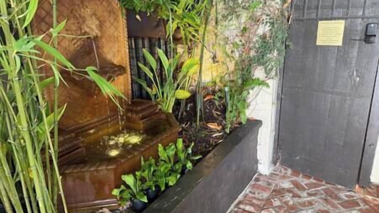Photo of Outdoor in Hollywood Hills West