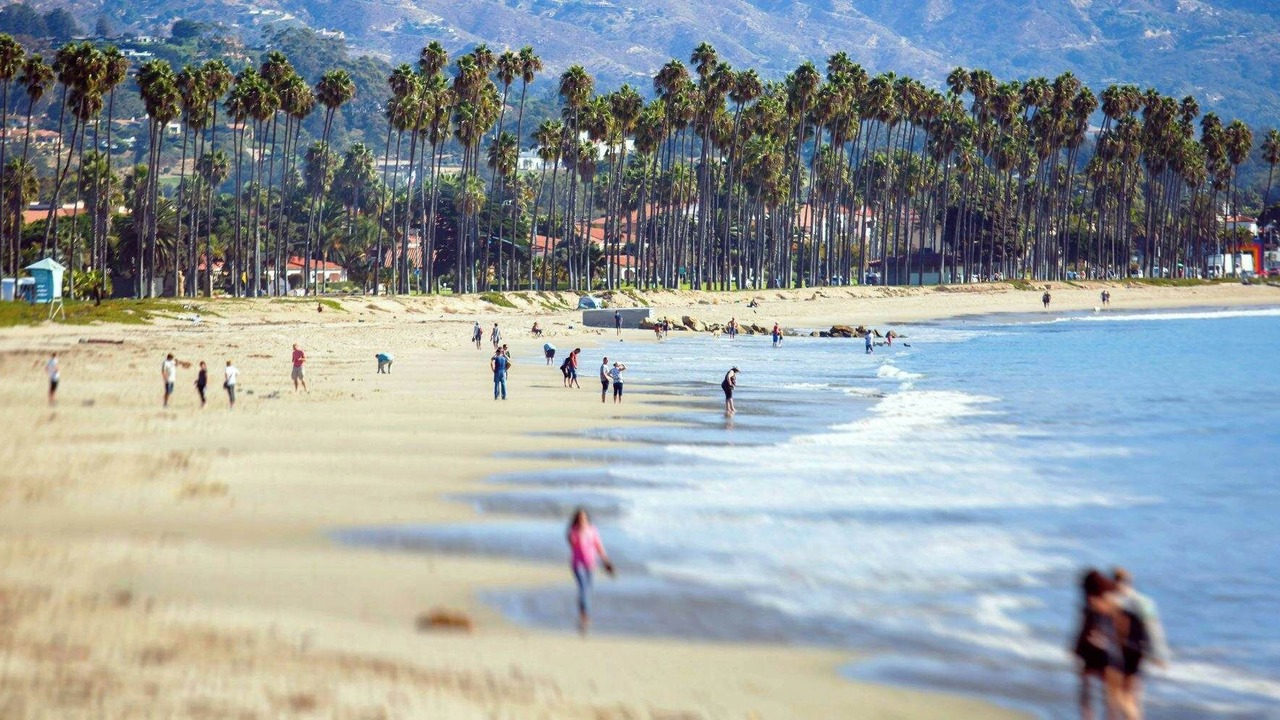 Photo of Others in East Beach