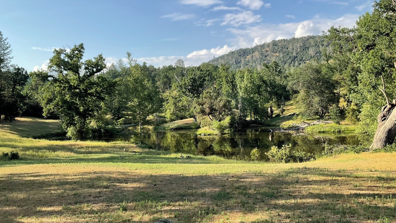 Photo of Others in North Fork