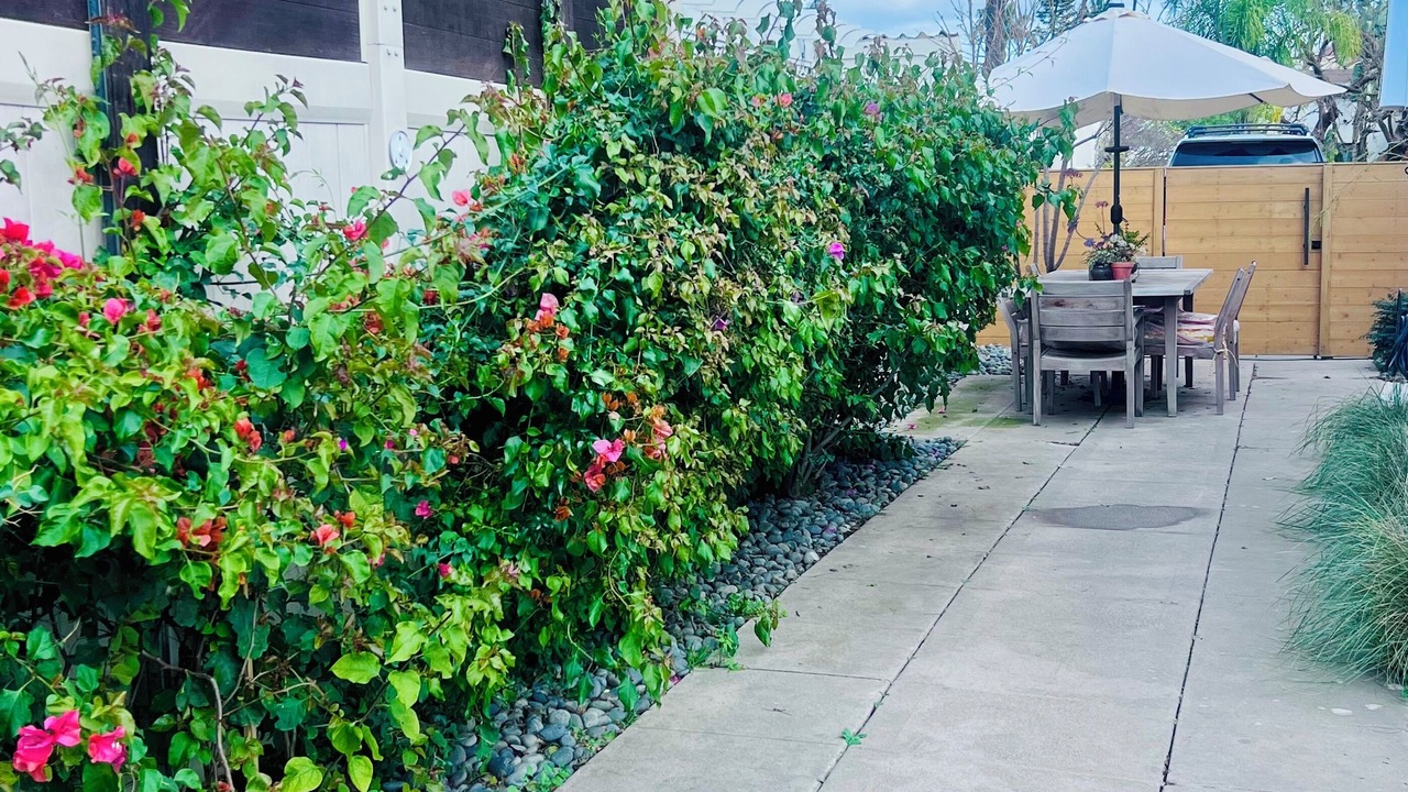 Photo of Outdoor in Kensington