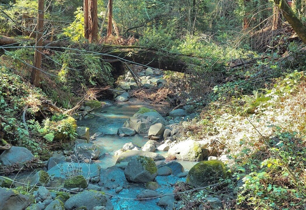 Photo of Others in Santa Rosa