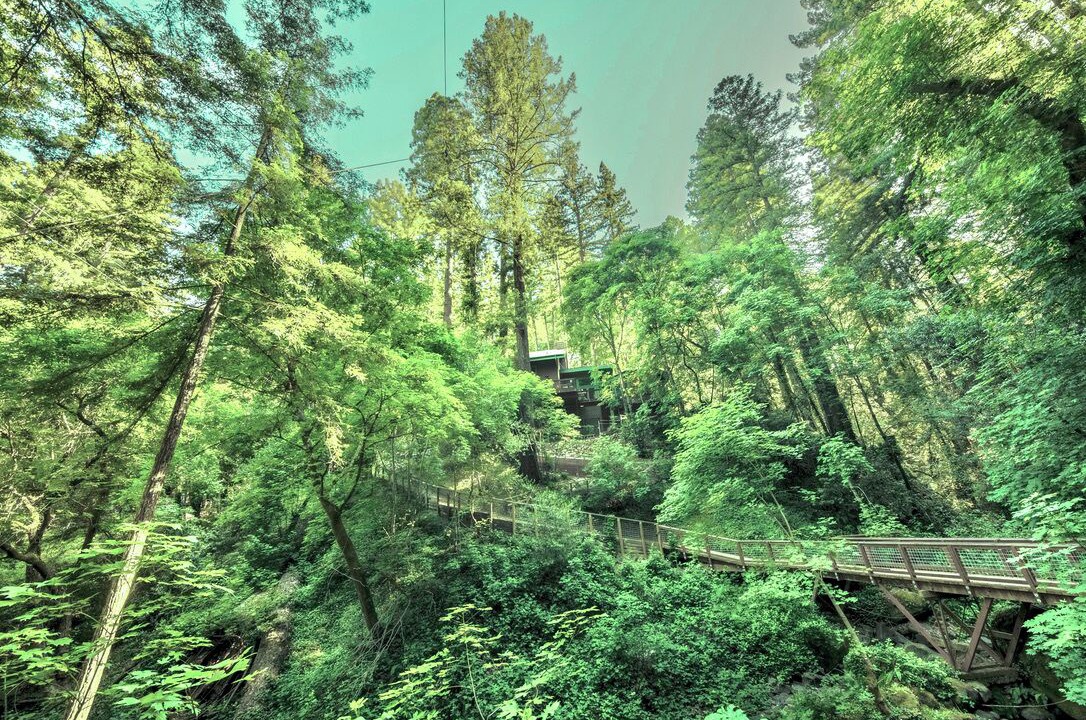 Photo of Others in Santa Rosa
