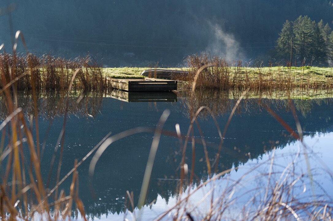 Photo of Others in Salyer