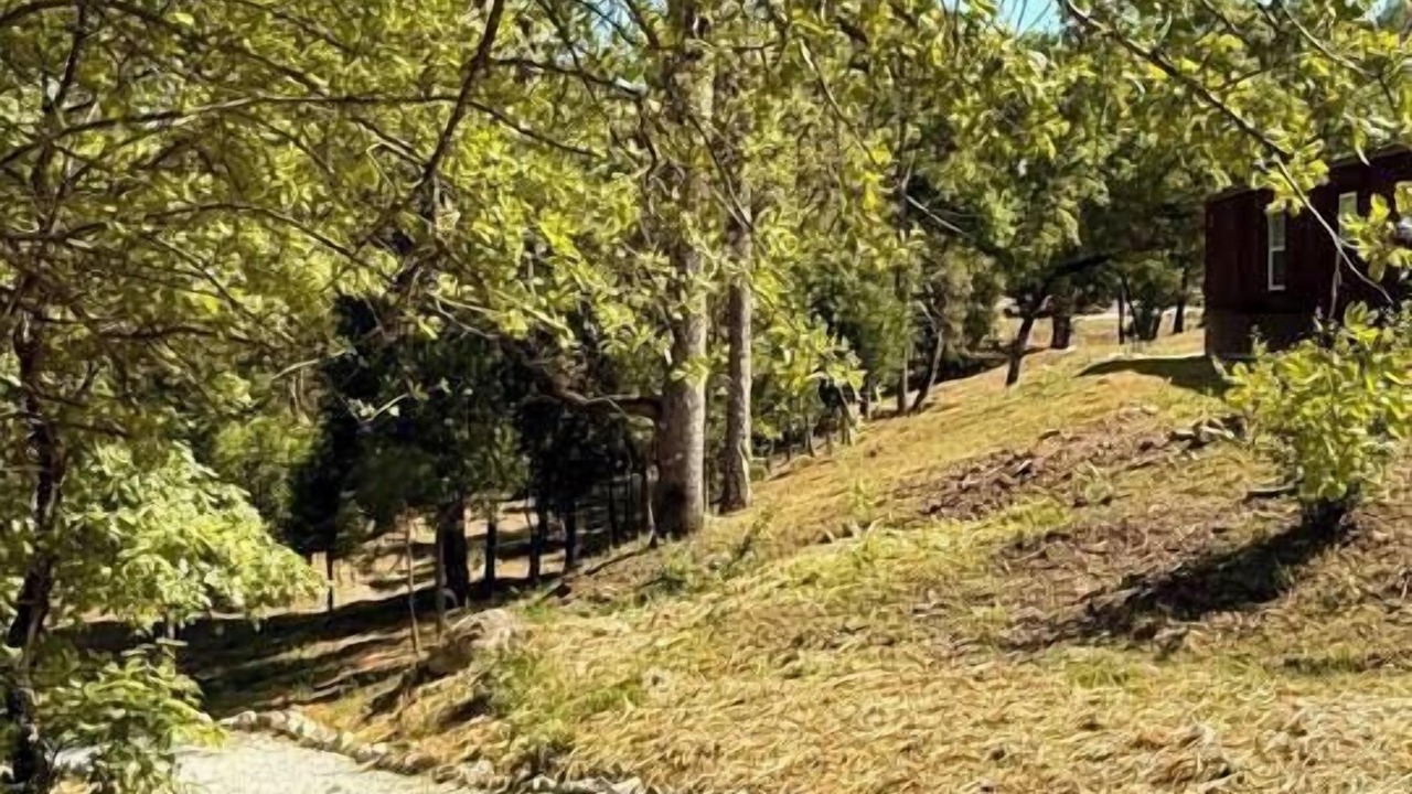 Photo of Outdoor in North Fork