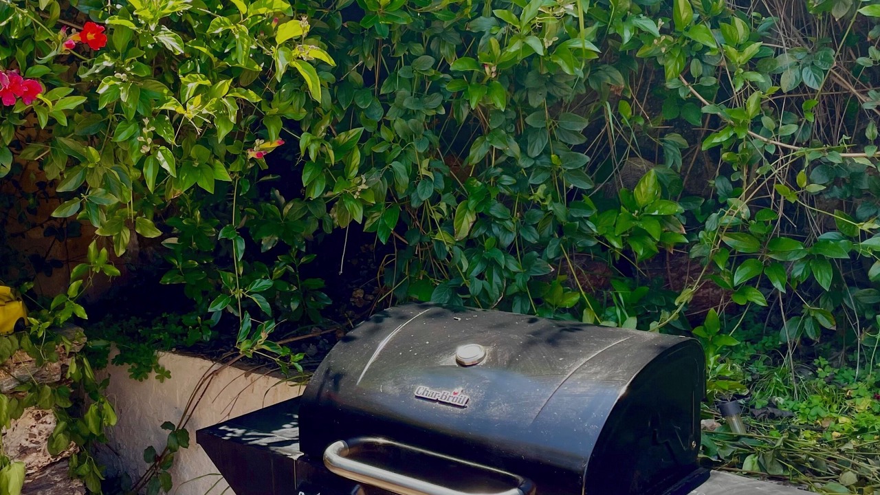 Photo of Outdoor in Mount Helix